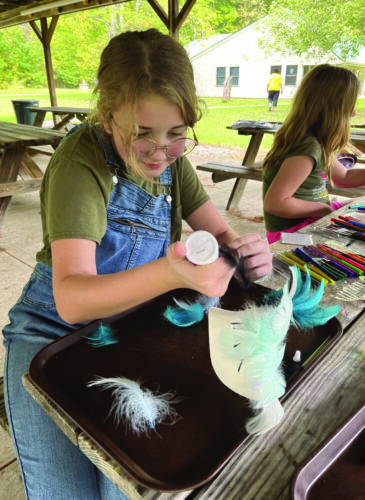 Scouts get stage ready at ‘Camporee the Musical’